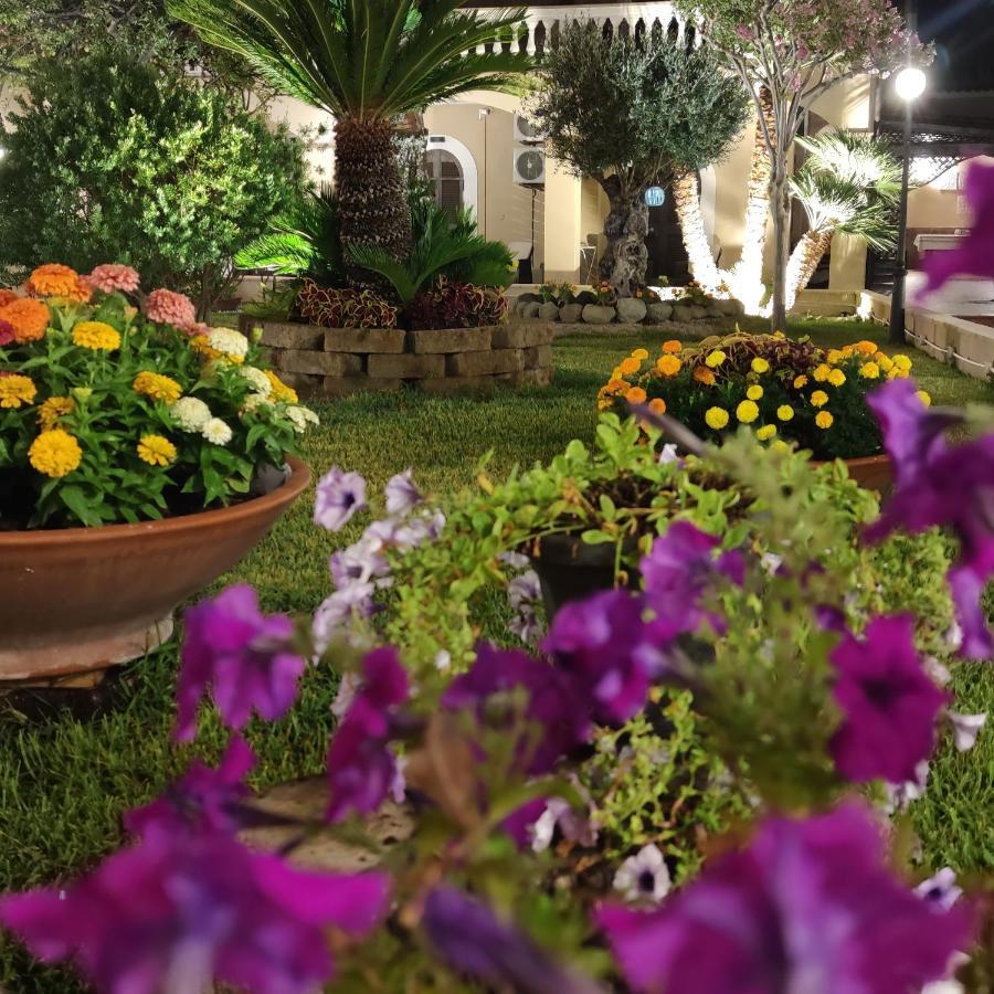 Villa Antonietta Ischia Exteriör bild