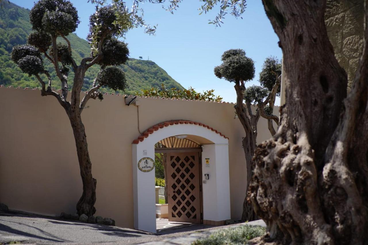 Villa Antonietta Ischia Exteriör bild