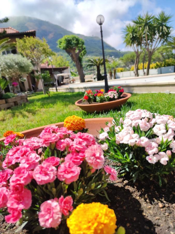 Villa Antonietta Ischia Exteriör bild