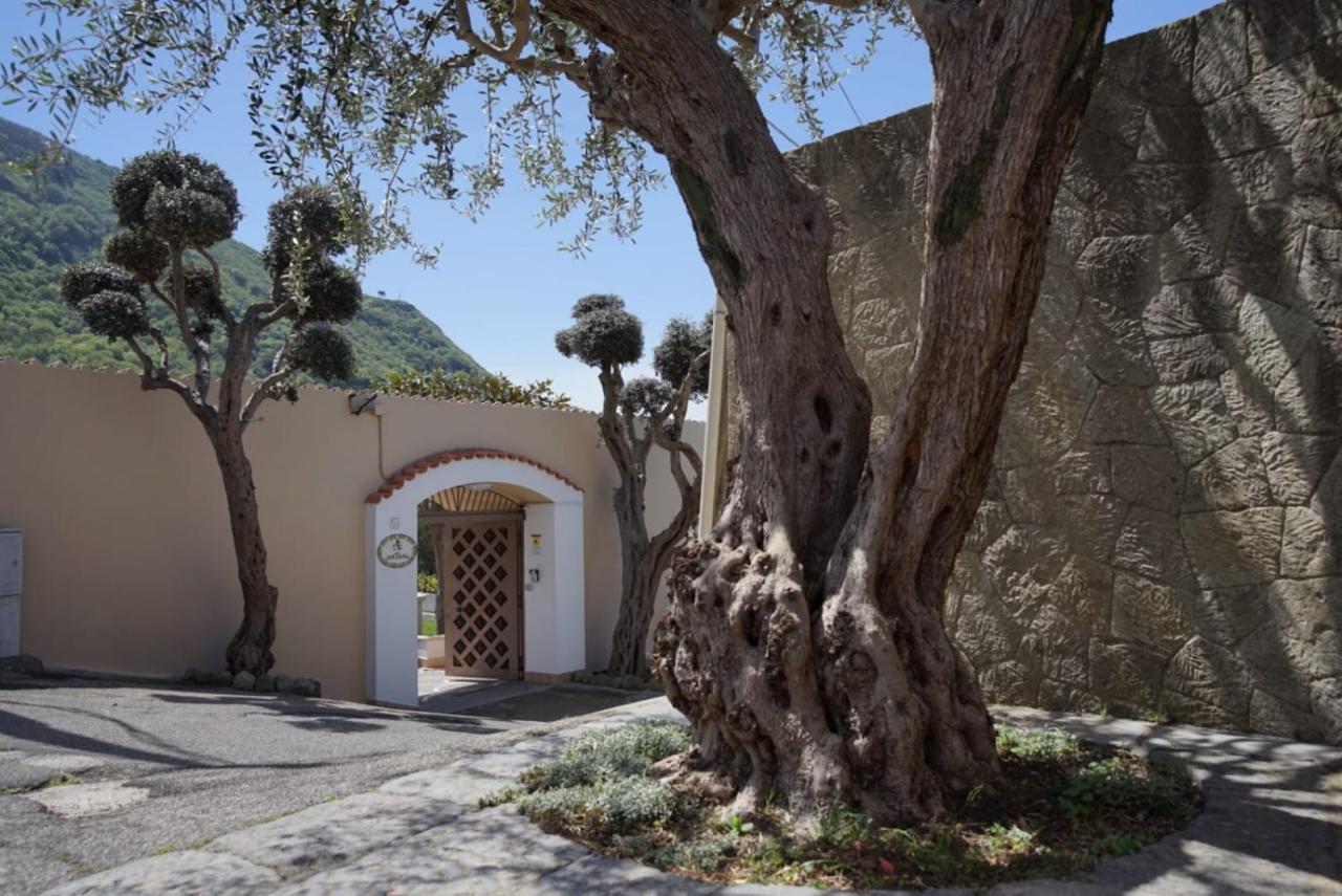 Villa Antonietta Ischia Exteriör bild