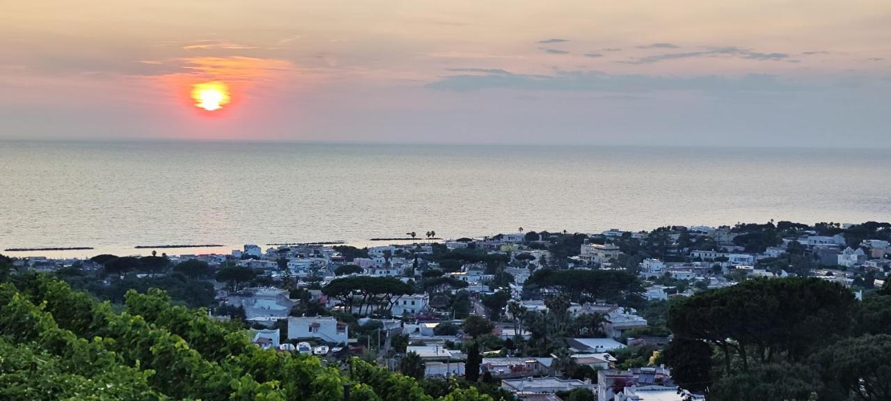 Villa Antonietta Ischia Exteriör bild
