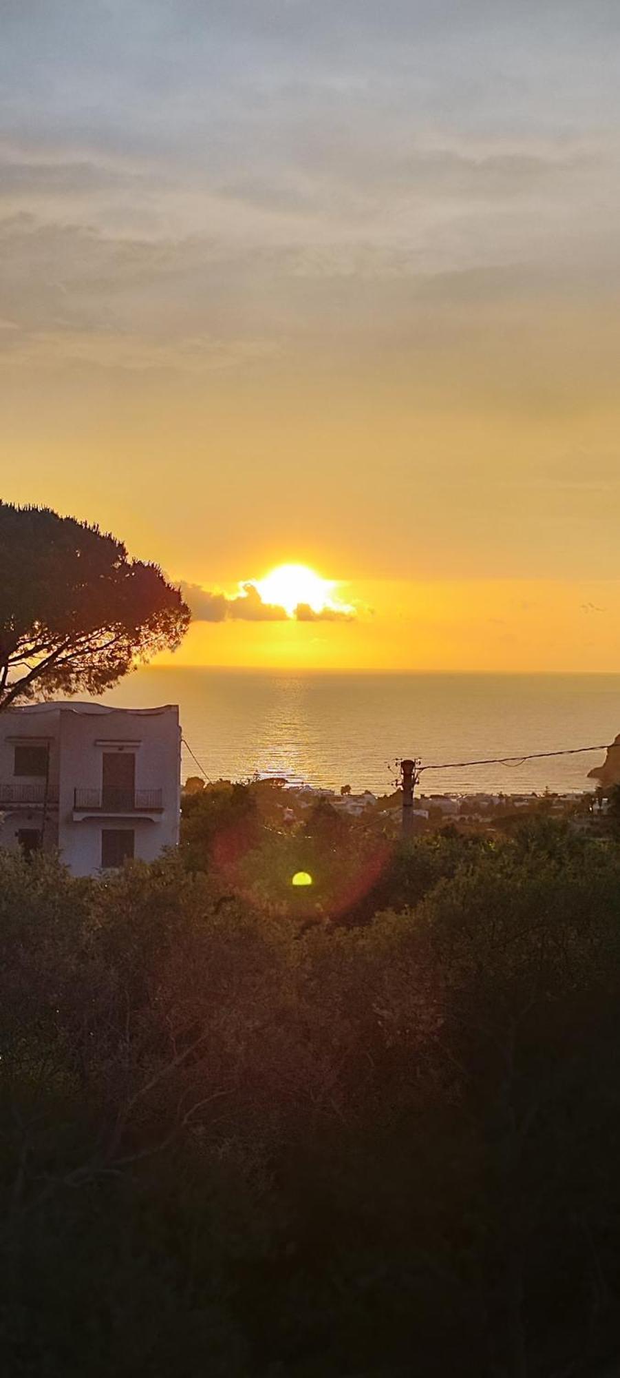 Villa Antonietta Ischia Exteriör bild