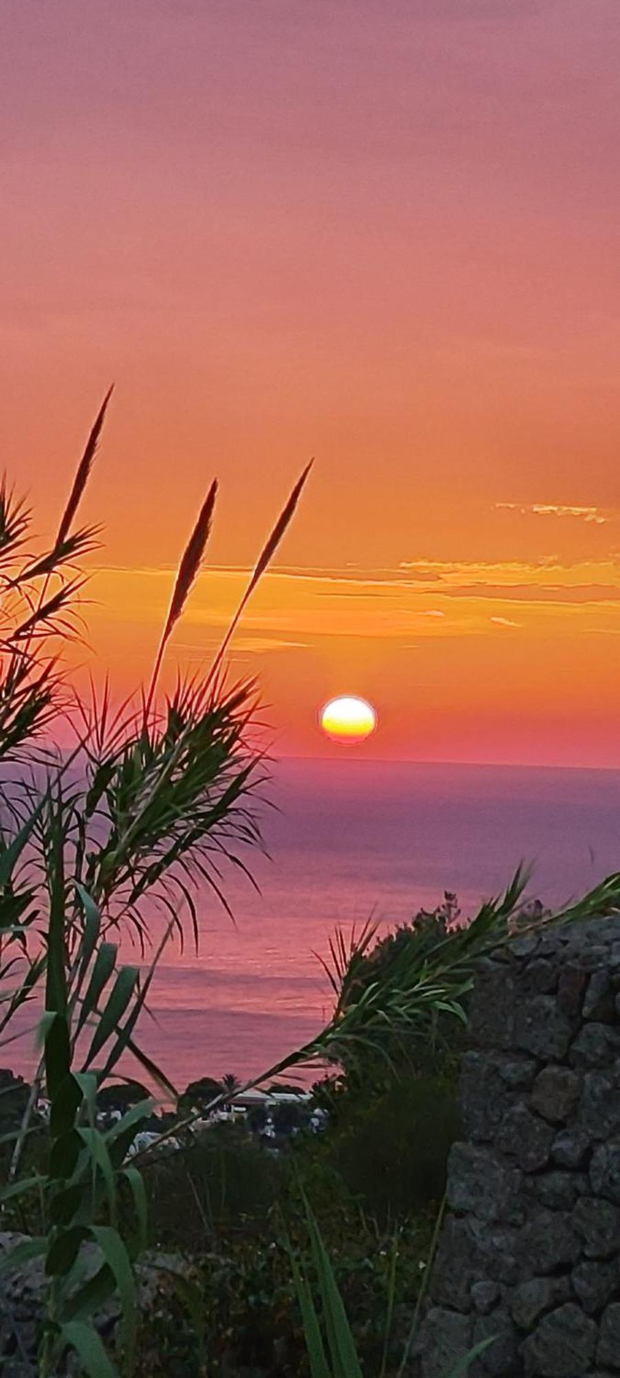 Villa Antonietta Ischia Exteriör bild