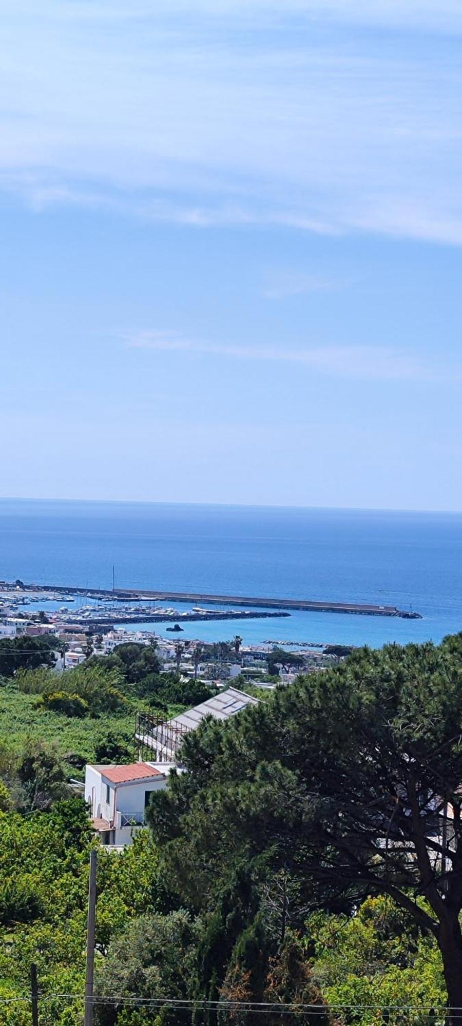 Villa Antonietta Ischia Exteriör bild